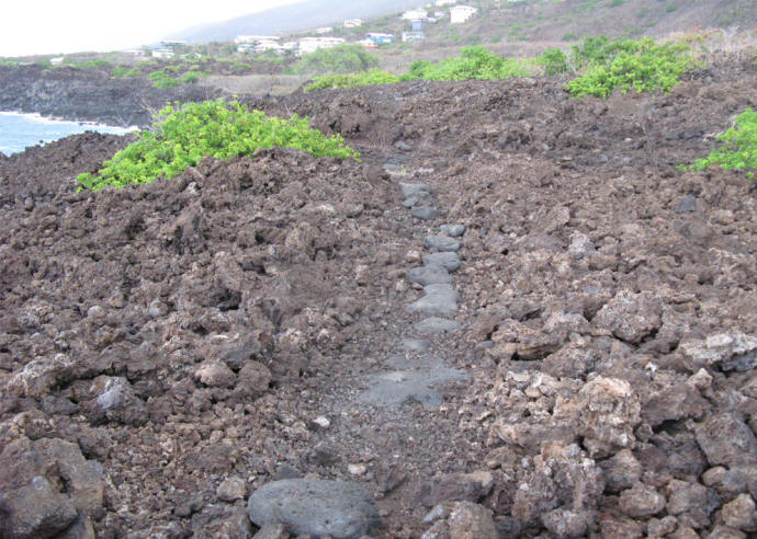 Kamehameha Trail